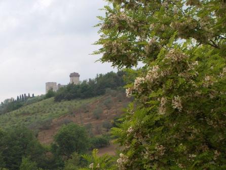 Torre del Castellano - Incisa